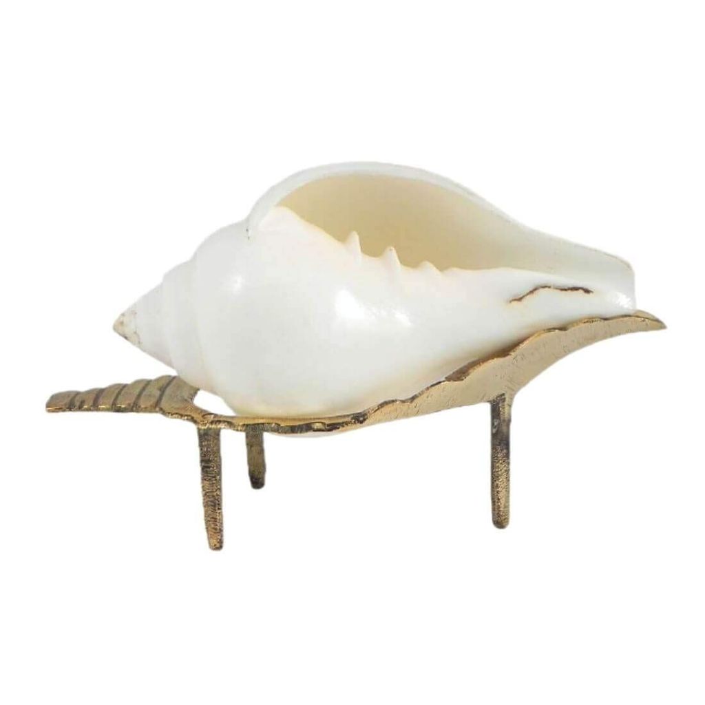 MAYAPURI Natural Non-Blowing Puja Shankha or Jal Sankha/Pani Wala Shankh for Pooja, Aarti, Original White Conch Shells with Brass Sankha Stand (Pack of 1 Set) - Pooja Needs | Buy online on ZillyBuy