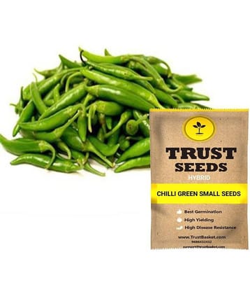 TrustBasket Small Chilli Vegetable Seeds Hybrid (15 Seeds)