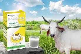 ORGANIC COW MILK DOUBLE TONED 1LTR