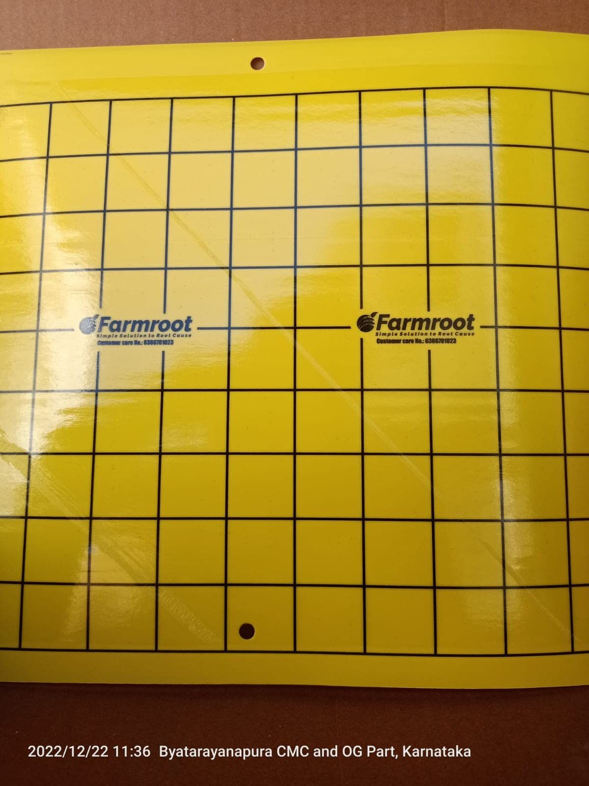 FARM YELLOW STICKY TRAP (10 SHEET)
