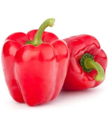 Red Capsicum Seeds, Shimla Mirch Seeds, Sweet Bell Pepper Seeds Pack Of 100 Seeds