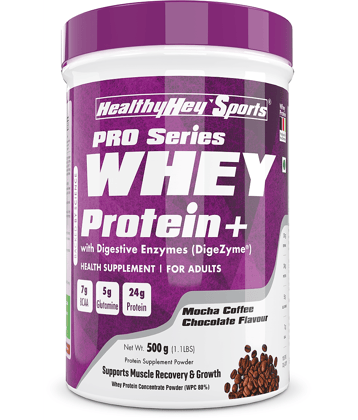 HEALTHYHEY NUTRITION Special Supplement Powder 500 gm ( Pack of 1 )