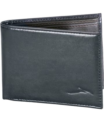 Panther - Black Leather Men's Regular Wallet ( Pack of 1 )