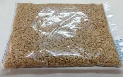 Lokwan Whole Wheat 5 KILOGRAM