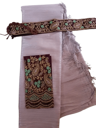 Traditional Indian Saree with Elegant Hip Belt