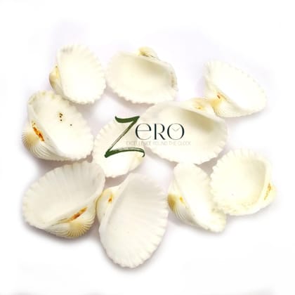 Brand Zero - OffWhite Big Curved Scallops Seashells - 50 Gms