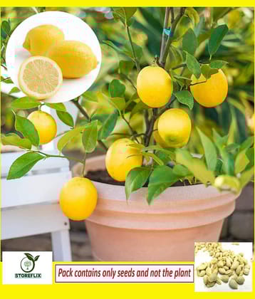 STOREFLIX Lemon Fruit ( 15 Seeds )