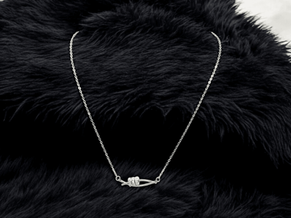 Exquisite Silver Necklace Exquisite Silver Necklace