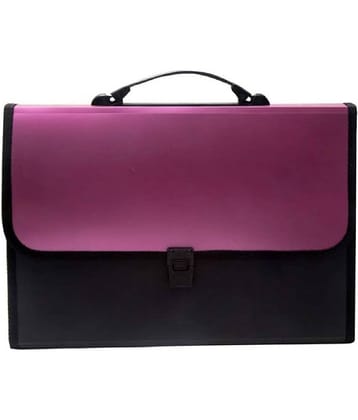 banistrokes Pink Expandable File ( Pack of 1 )