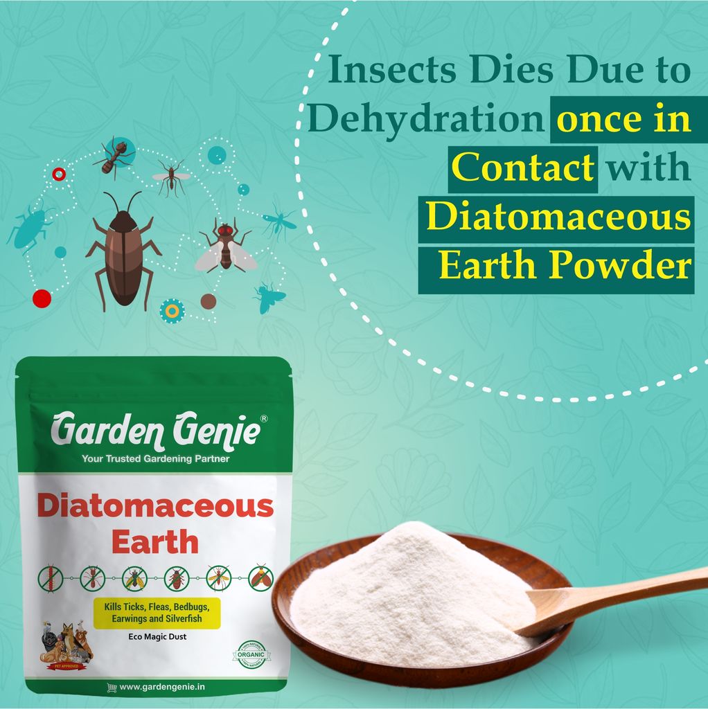 Garden Genie 100% Natural Diatomaceous Earth Powder 380g I Insect Control for Plants I Effective Against Dog Ticks & Flea, Cockroach, Bedbugs, Ants etc | Organic Pest Control for Your Home & Garden