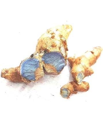 VINARGHYA Pure Natural Kali Haldi / Black Turmeric / Jamuni haladi / Nall Pasupu 50 gm