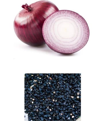 OLD STORE RED ONION 200 SEEDS PACK WITH INSTRUCTION MANUAL