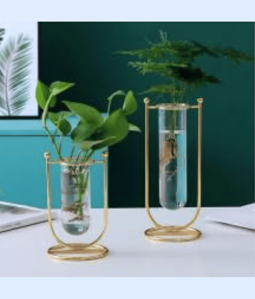 DOME DECO Iron Table Vase 22 cms - Pack of 2