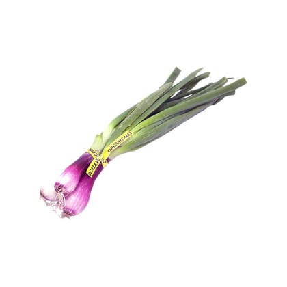 Spring Onion
