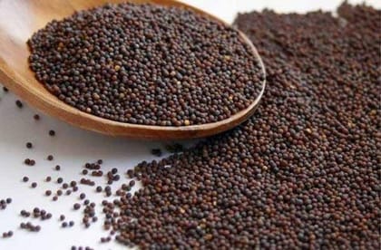 Rai (Mustard Seeds)  500 gm