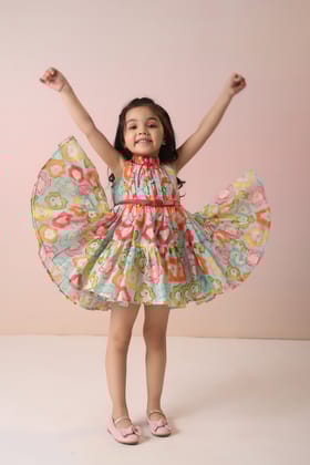 Yoke Gather Multicolour Dress-6-12 months