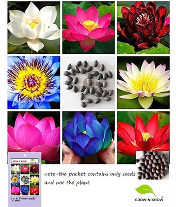 grow n know Lotus Flower ( 21 Seeds )