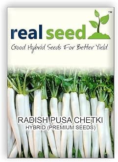 Radish F1 Hybrid Imported Vegetable Seeds