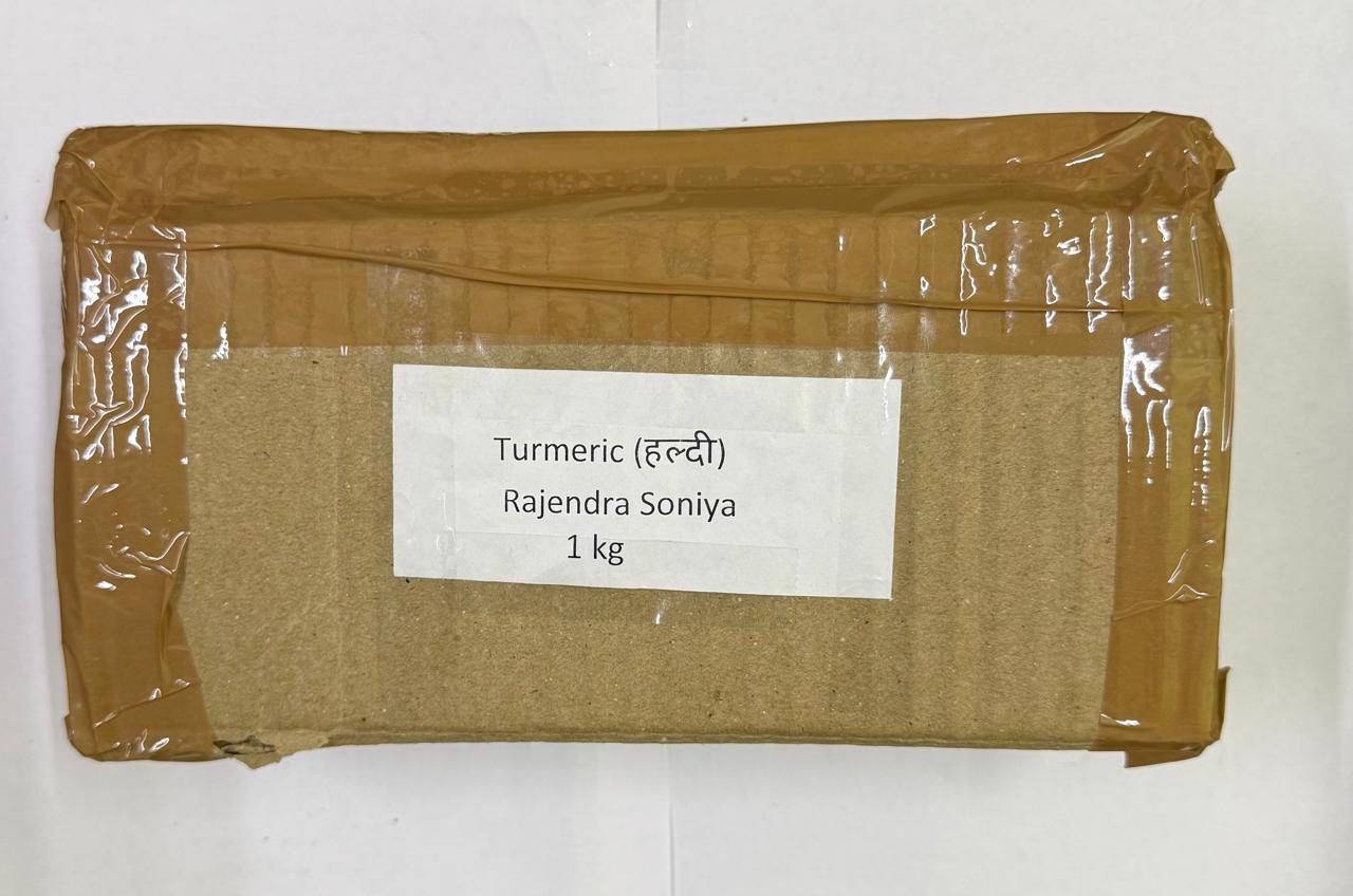 NSC Turmeric Rhizome Rajendra Sonia - 1kg