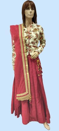Woman's Designer Saree cum Ghaghara Suit with Front Zip Long Sleeve Printed Blouse-Hema-A / Off White / F