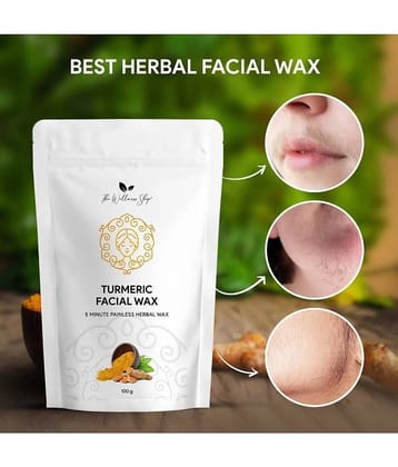 HARSHLOVE Natural Hair Removal Powder for Men & Women 100 ( Pack of 1 )