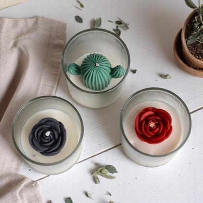 Succulent Bloom-Succulent Glow Collection (Set of 3)