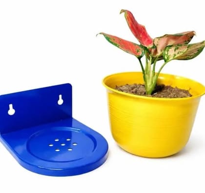 Wall Mounted Plant Holder with Free Pot Included | Plastic Hanging Planter Shelf for Indoor Outdoor Garden & Balcony (Blue Yellow)