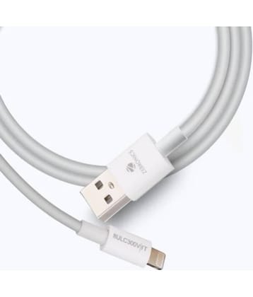 Zebronics White 3A Type C Cable 1.2 Meter