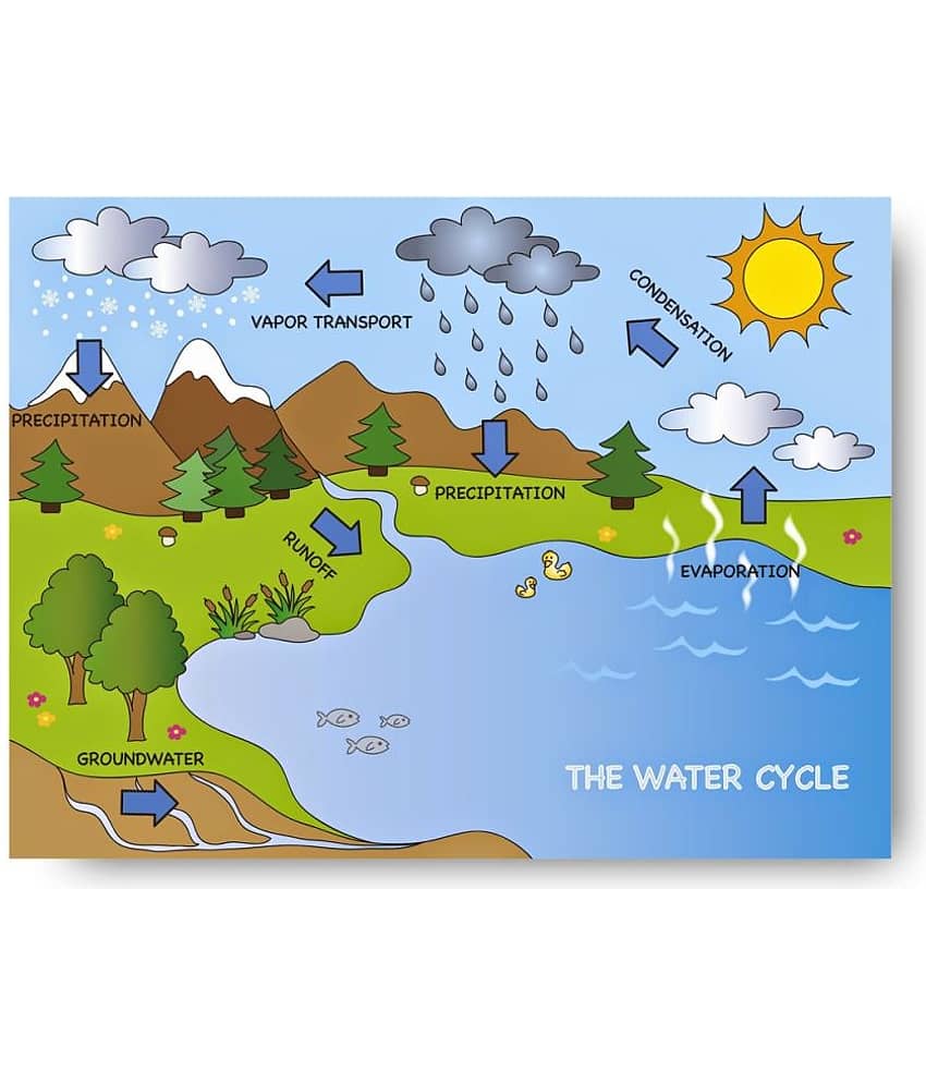 Photojaanic Early Learning Paper Wall Poster Without Frame