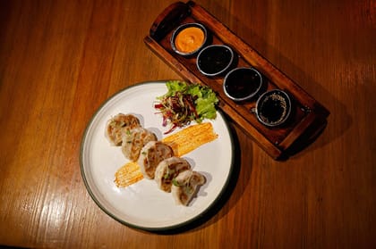 Mushroom And Chicken Gyoza Pan Fried
