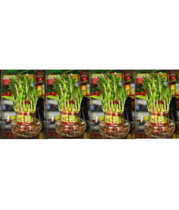 Green plant indoor - Green Wild Artificial Flowers With Pot ( Pack of 4 )