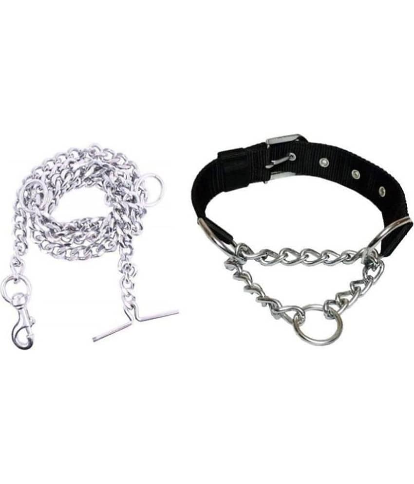Smart Doggie - Multicolor Dog Combo (Small)