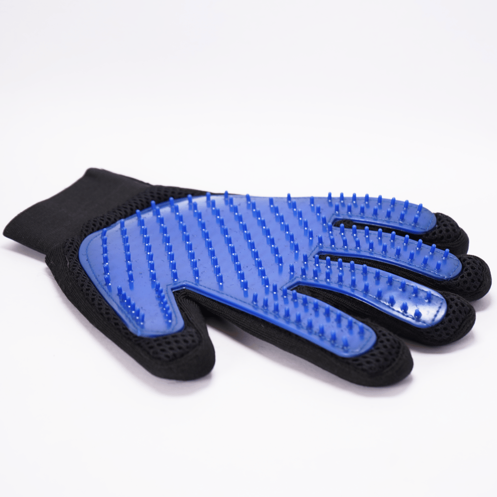 Skatrs Mess Free Deshedding Grooming Gloves for Dogs and Cats (Blue) Skatrs Mess Free Deshedding Grooming Gloves for Dogs and Cats (Blue) - Pack of 1