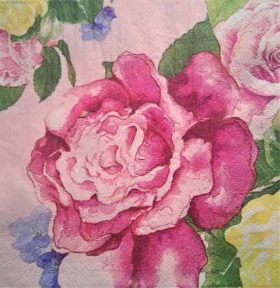 2 Ply Decoupage Napkin / Tissue papers - GT2178