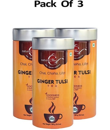 nature Chai Ginger Tulsi Tea Loose Leaf 100 gm Pack of 3