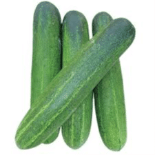 cucumber