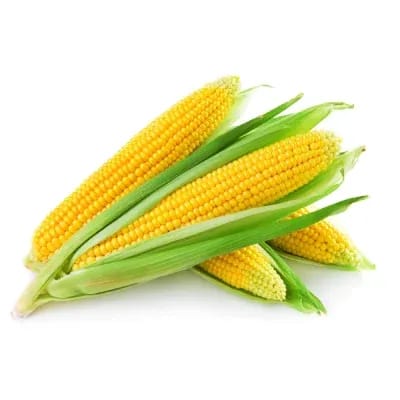 Sweet Corn Cob (Bhutta)