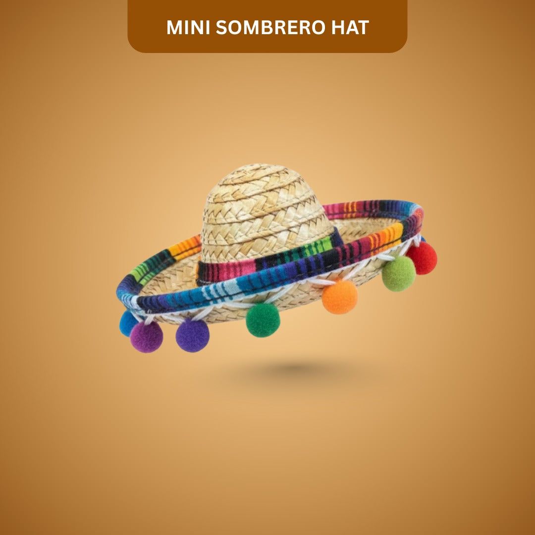 Mini Sombrero Hat