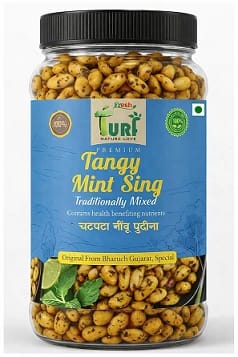 TURF FRESH - Premium Tangy Mint Sing | Chatpata Nimbu Pudina Peanuts 150 G