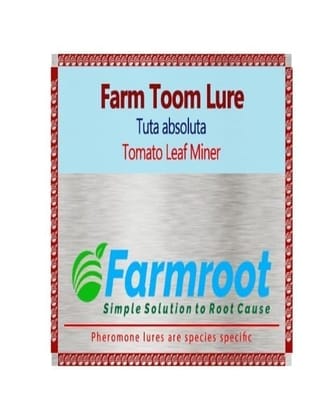 "Farm Toom Lure - Tuta absoluta - Tomato Leaf Miner" (Pack of 1) "Farm Toom Lure - Tuta absoluta - Tomato Leaf Miner" (Pack of 1)