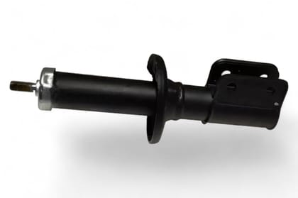 Gabriel Front Suspension Strut - LH/RH AV768645