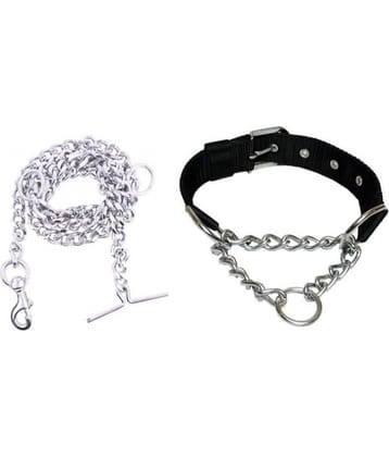 Smart Doggie - Multicolor Dog Combo (Small)