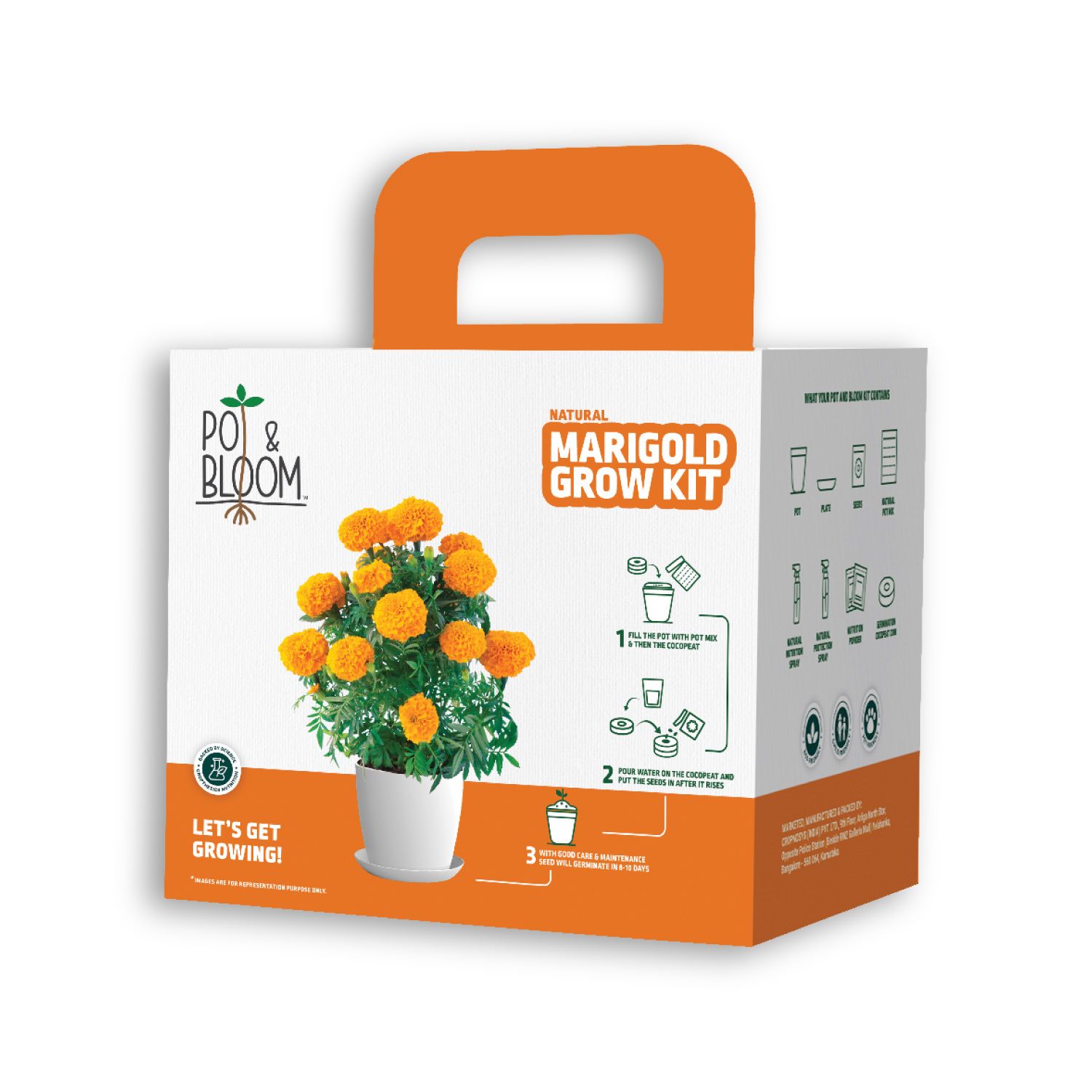Marigold Kit