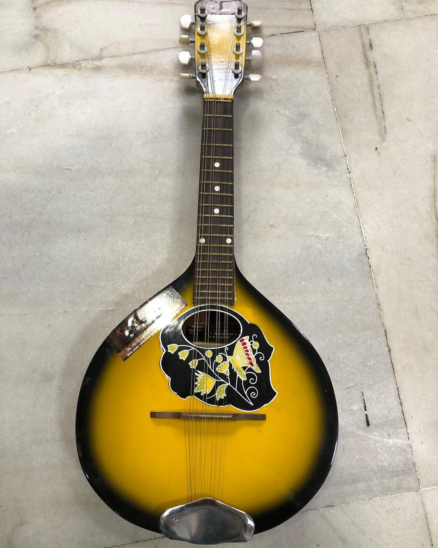 Mandolin- A Style Round Cut