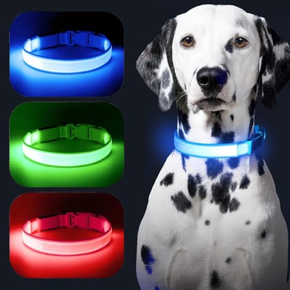 Led Dog collor-LED / L