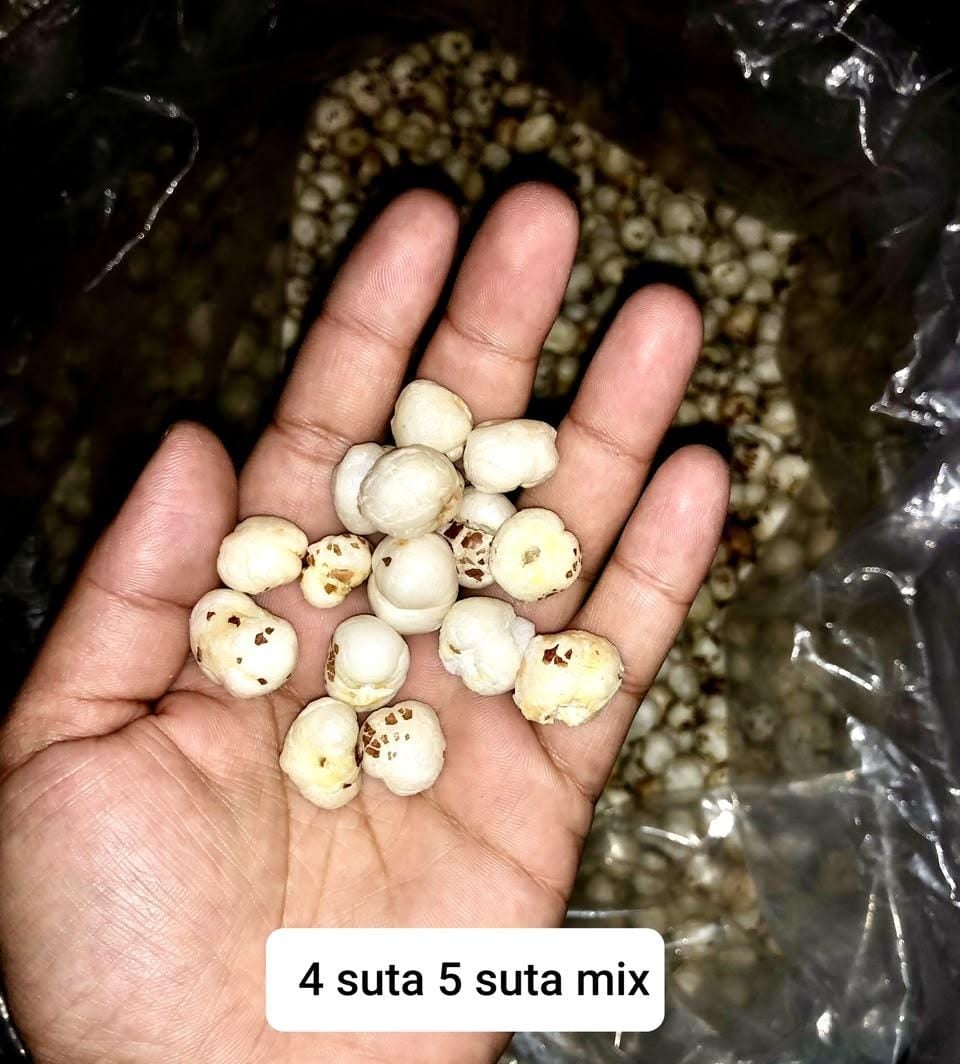 Premium Quality Fox Nuts (Makhana) (4 Suta & 5 Suta Mix) | Crunchy & Nutritious | Healthy Snacking