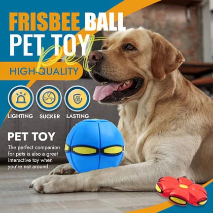 Decent Pet Saucer Ball