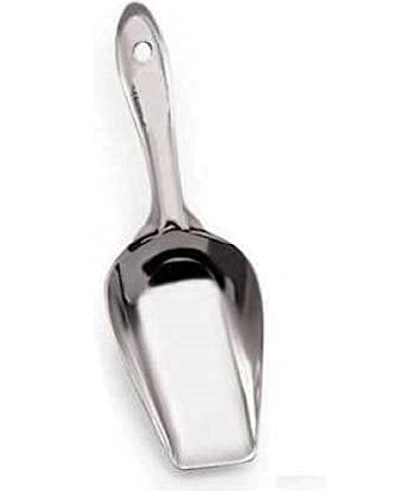 Dynore - Silver Stainless Steel 1 scoop ( Set of 1 )