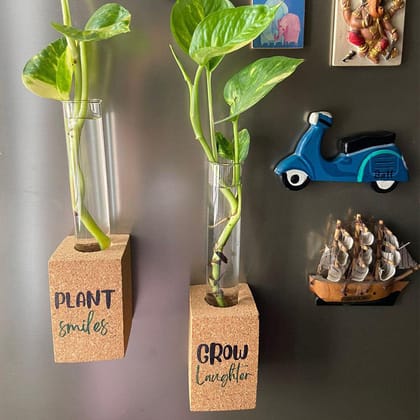Cork Propagation Planter -  Set of 2