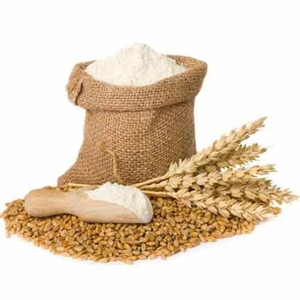 Organic Wheat Flour  500 GM